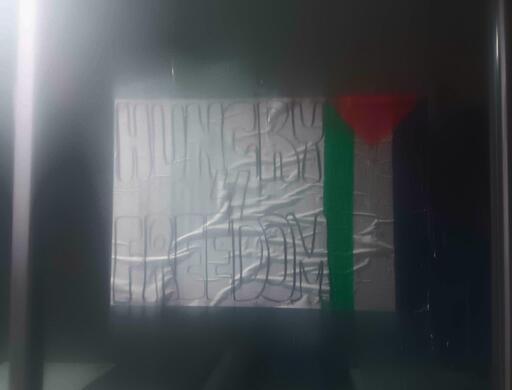 A McDonald's window is covered with a wheatpasted flyer reading "Hungry 4 Freedom" with a Palestinian flag.